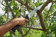 Falcon Pruning & Cutting Falcon Folding Plastic Handle Premium Pruning Saw FPS-21